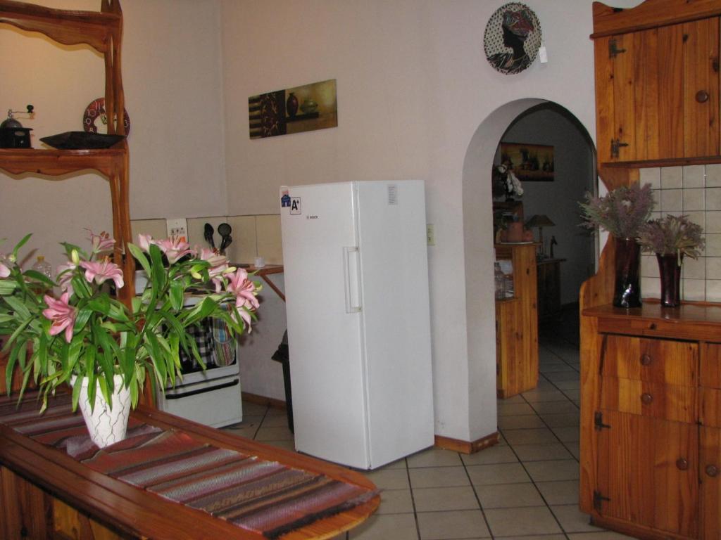 Jembjo'S Knysna Lodge & Backpackers Екстериор снимка